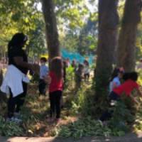 students plant IDing at Shawmut Hills sycamore circle mural site